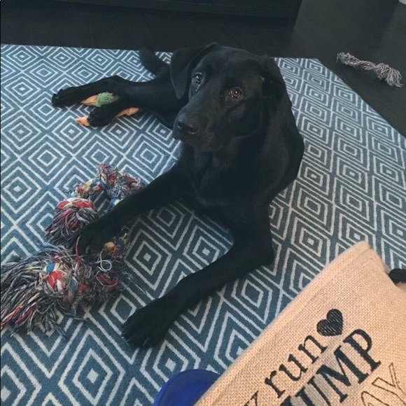 Meet your Posher, Alexis - Picture 3 of 3